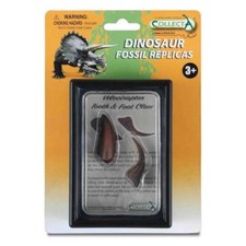 Velociraptor Lower Jaw Tooth