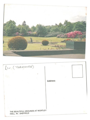 Vintage postcard the - -, grounds