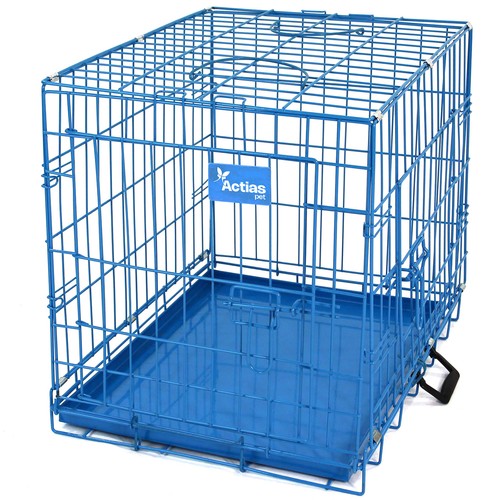 Pink blue dog cage puppy - blue,