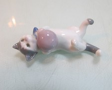 Cat lying down with ball