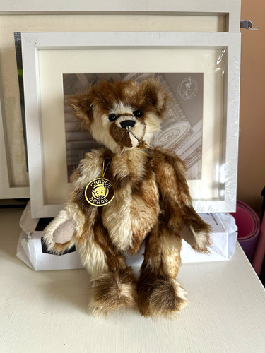 Charlie bears plush - charlie, teddy