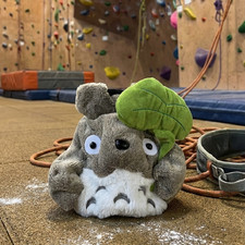 Grey chinchilla chalk bag - chalk,