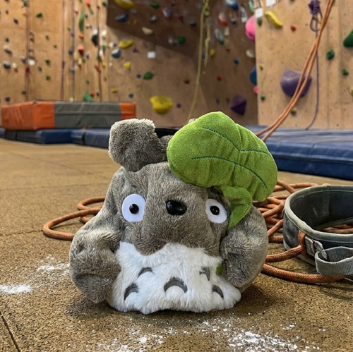 Grey chinchilla chalk bag - chalk, |