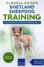 Shetland Sheepdog Training