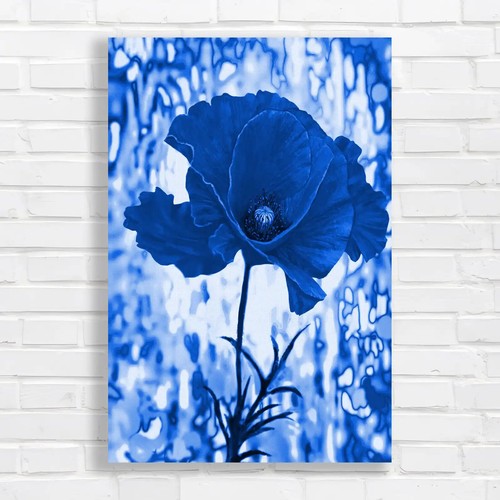 Vibrant red poppy canvas - vibrant,