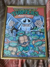 Framed Ninja Turtles Picture