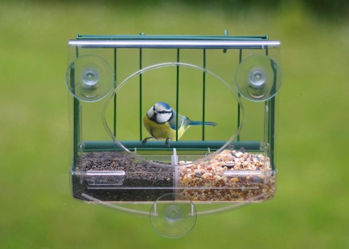 Meripac pigeon proof window - meripac,