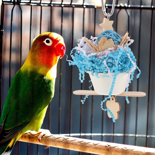 Reusable wooden bird - bird, chew