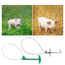 Pig Holder Catcher Steel Pig
