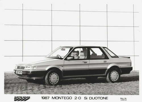Austin montego si duotone - austin,