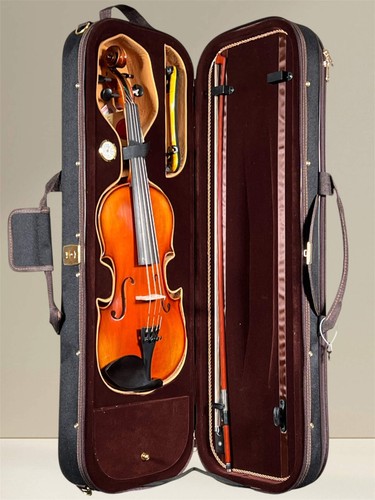 Gewa maestro violin - violin,