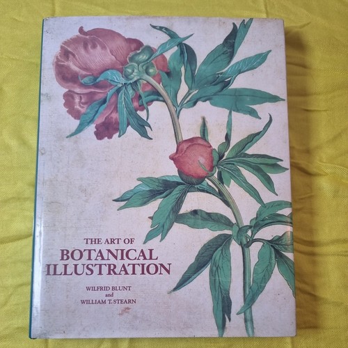 Art botanical illustration - art,