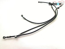 Brake Hose / Line Set Triumph