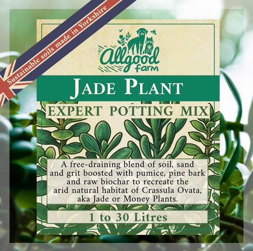Jade plant premium potting - jade,
