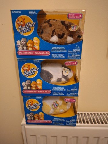 Zhu pets hamsters 3 - pets,