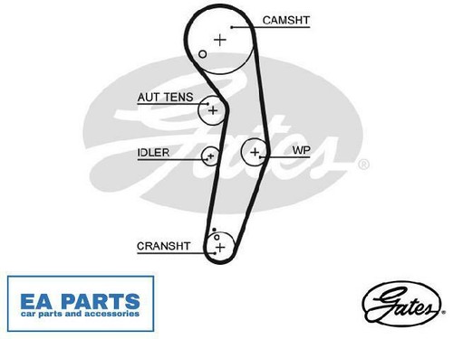 Timing belt for - vw, beetle