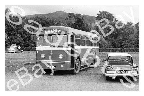 Bus photograph red white - bus,