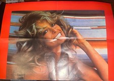 Farrah Fawcett 19 " Swimsuit"