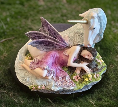 Unicorn and fairy hand painted - fairy,