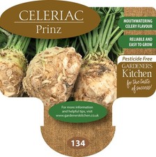 Celeriac Plants - 'Prinz' 6 X