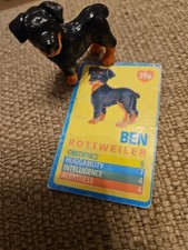 Puppy In My Pocket 19a Ben Rottweiler