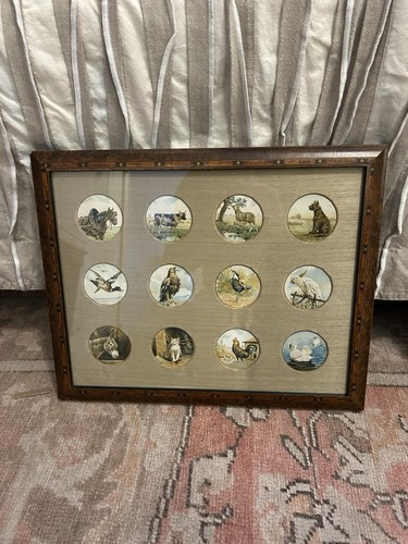 Framed collection victorian - of,