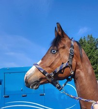 Braided Headcollar Lead Rope