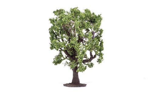 Hornby oak tree - hornby,