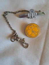 Brownie Promise Badge And Tie