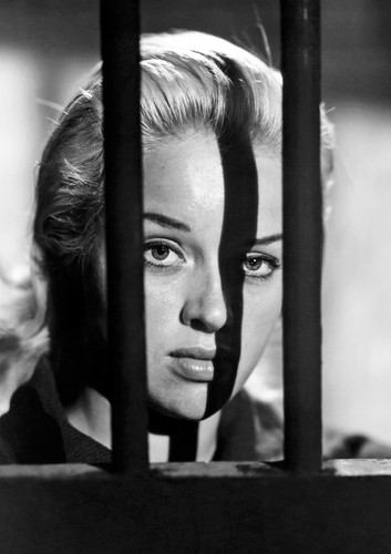 Diana dors monochrome photo - diana,
