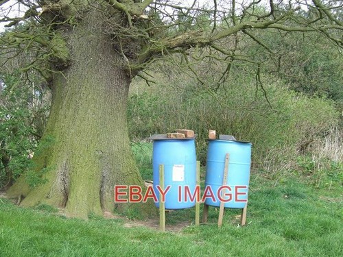 Photo pheasant feeders - photo,