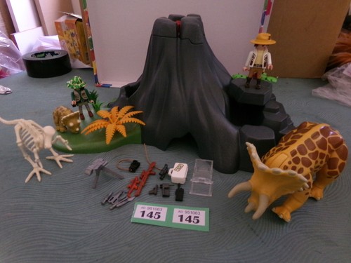 Playmobil 100 complete - playmobil, 100%
