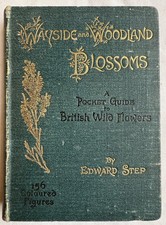 Wayside and Woodland Blossoms
