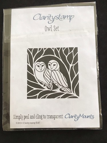 Owl set birds tree square - in,