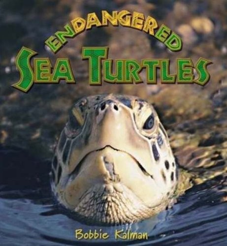 Endangered sea turtles - sea,