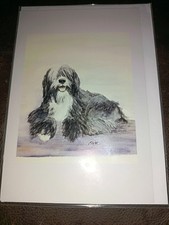 tibetan terrier print by elise