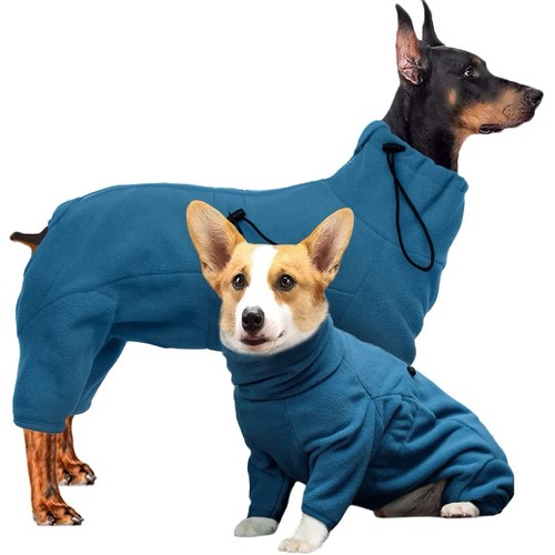 Dog size xxl - dog,