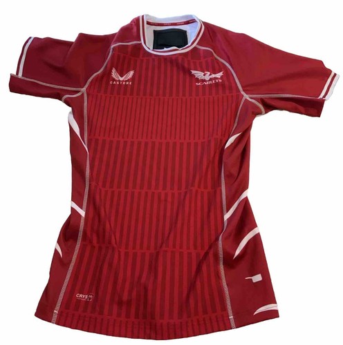Llanelli scarlets rugby - llanelli,