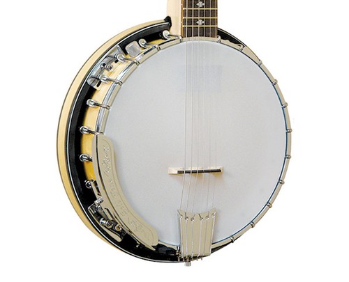 Gold tone string banjitar - gold,