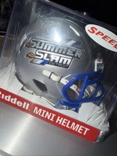 NFL Mini Helmet Riddell