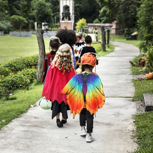 Kids butterfly costume - kids,