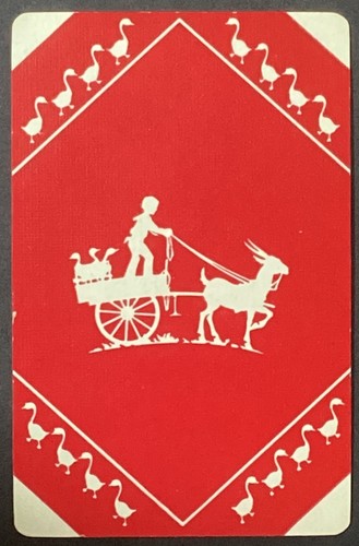 Boy driving goat cart - boy,