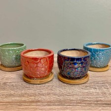 Ceramic Gloss Succulent