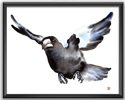 Personalised australian flying - personalised,