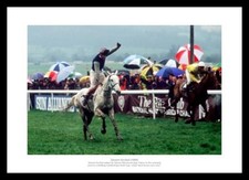 Desert Orchid 1989 Cheltenham Gold Cup Horse Racing Photo Memorabilia (0SP)