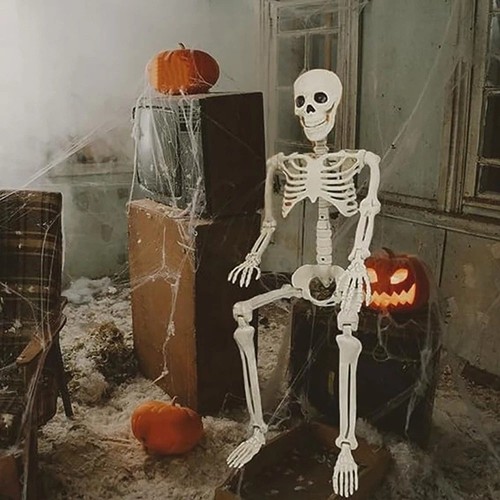 Halloween skeleton decoration - skeleton,