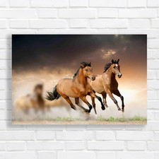 Horses sunset original - sunset,