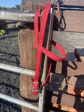 Half crown BRIDLE Shetland, Synthetic web washable. Red