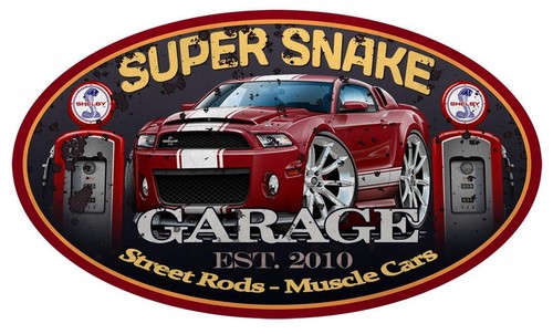 2010 shelby super snake - 2010-14,