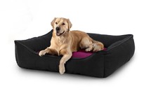 Dog bed pet - dog,